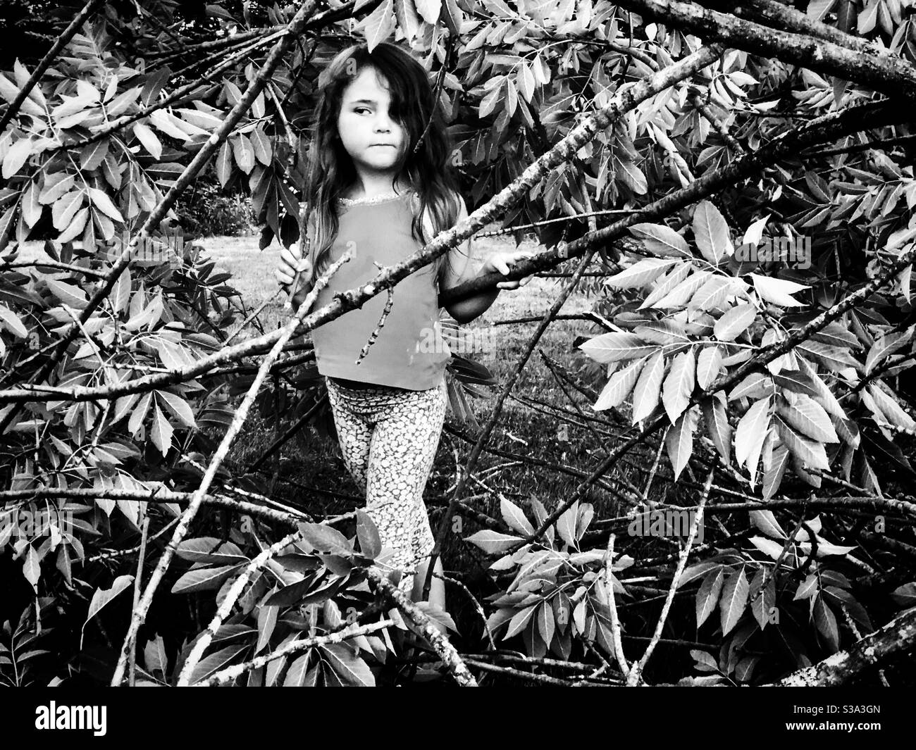 Young girl standing alone in tree branches Stock Photo