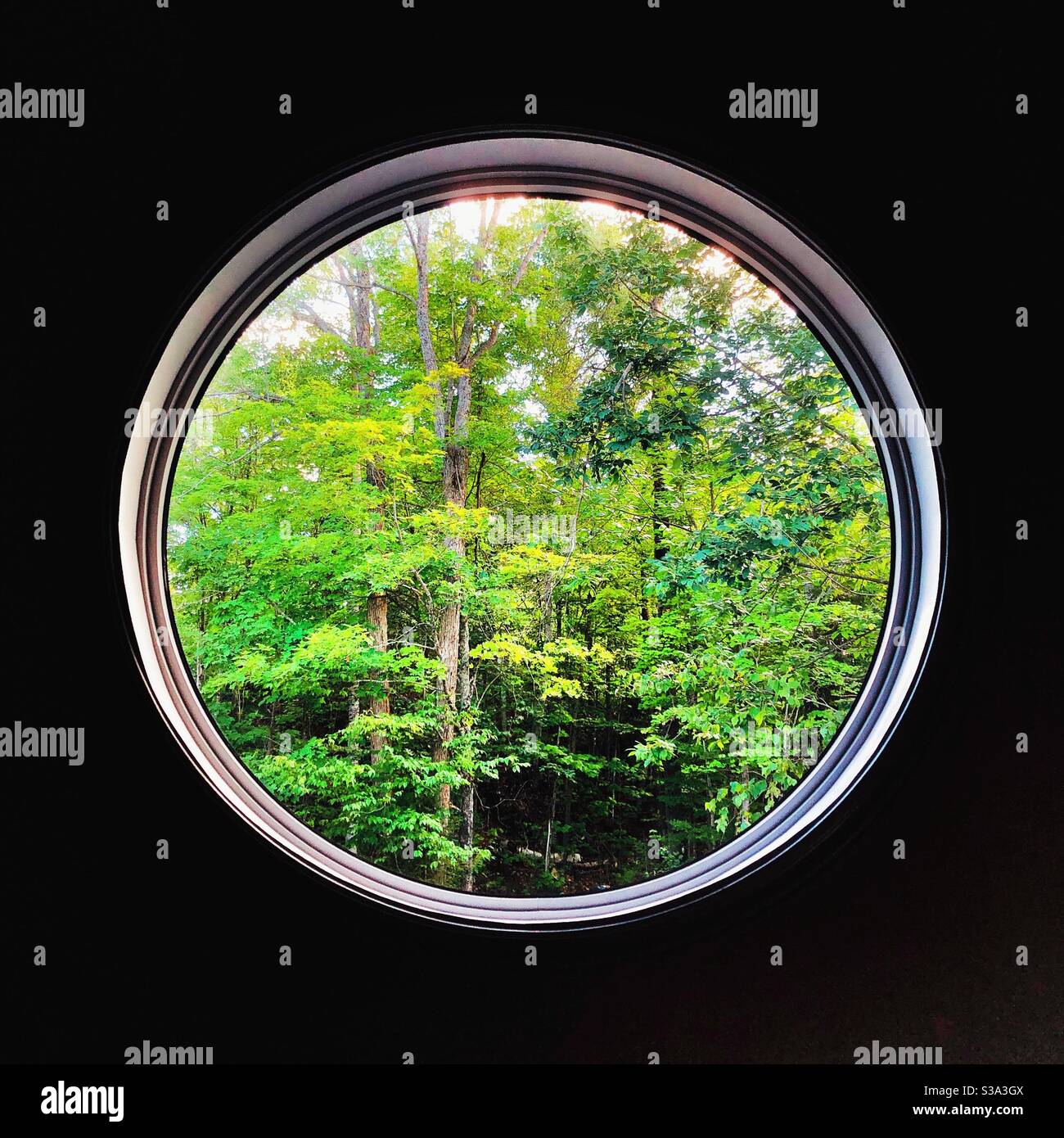 Wow of Canadian trees through a circular window Stock Photo