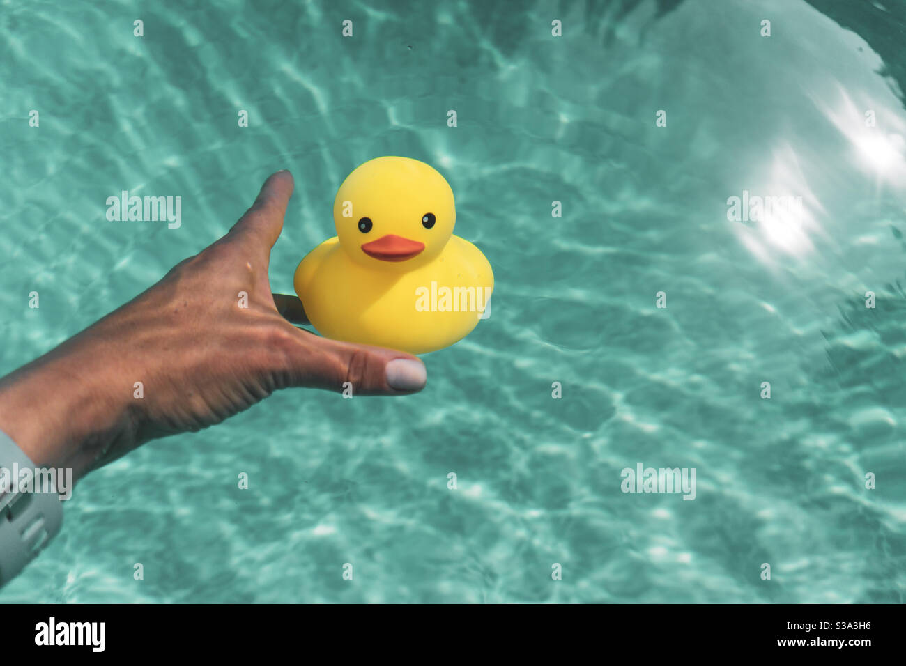 Woman’s hand reaching for yellow rubber duck underwater in an outdoor swimming pool with sunlight. Stock Photo