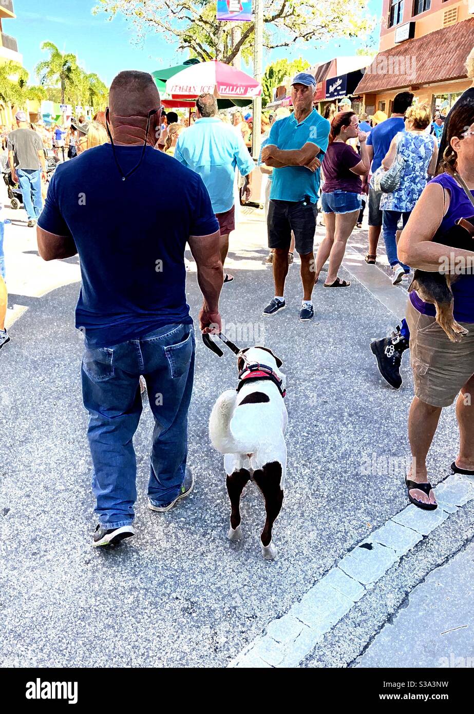 Man and dog viewed from behind at a community street festival in Lake Worth Beach, Florida. - Smartphone Captured Stock Image