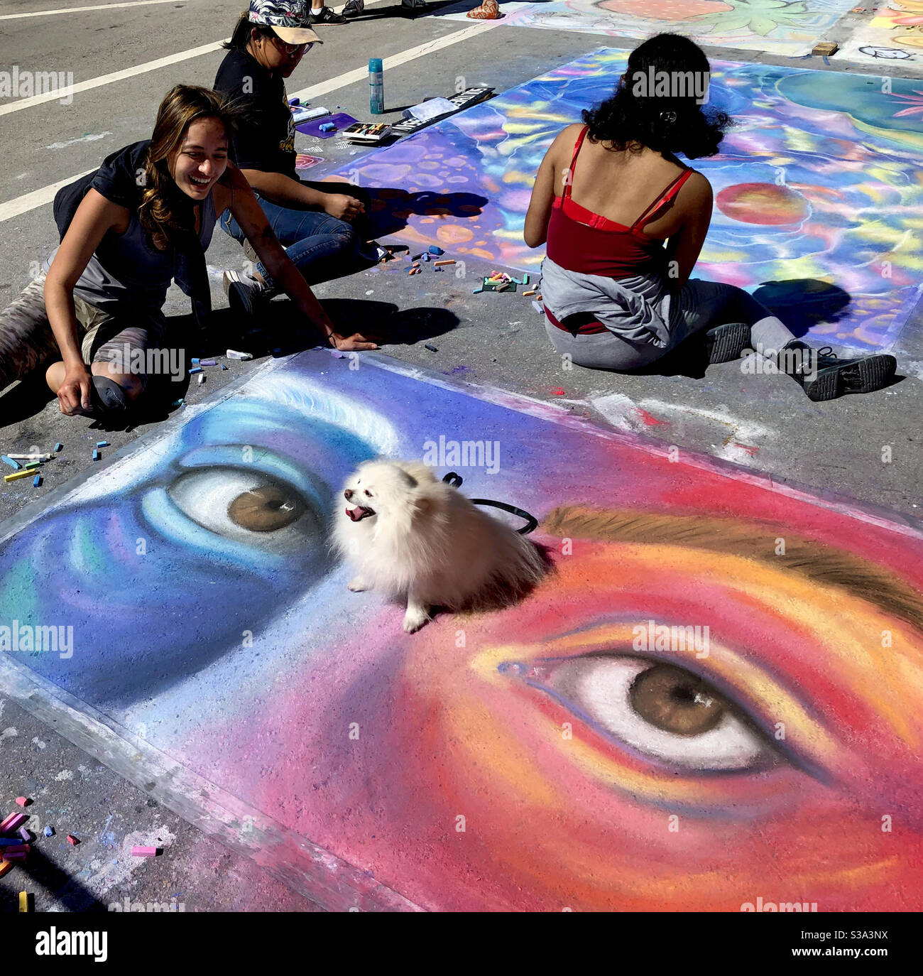 Funny photo of a dog sitting on a sidewalk mural at a community art festival in Lake Worth Beach, Florida, February 2020. Stock Photo