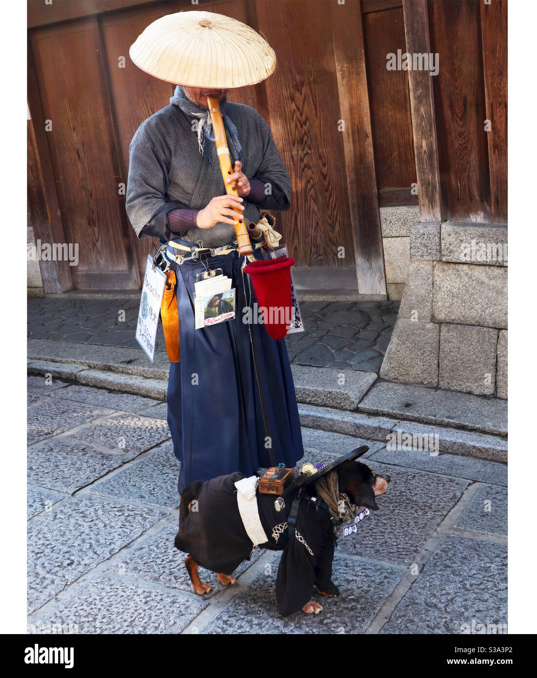 Samurai dog and owner Stock Photo