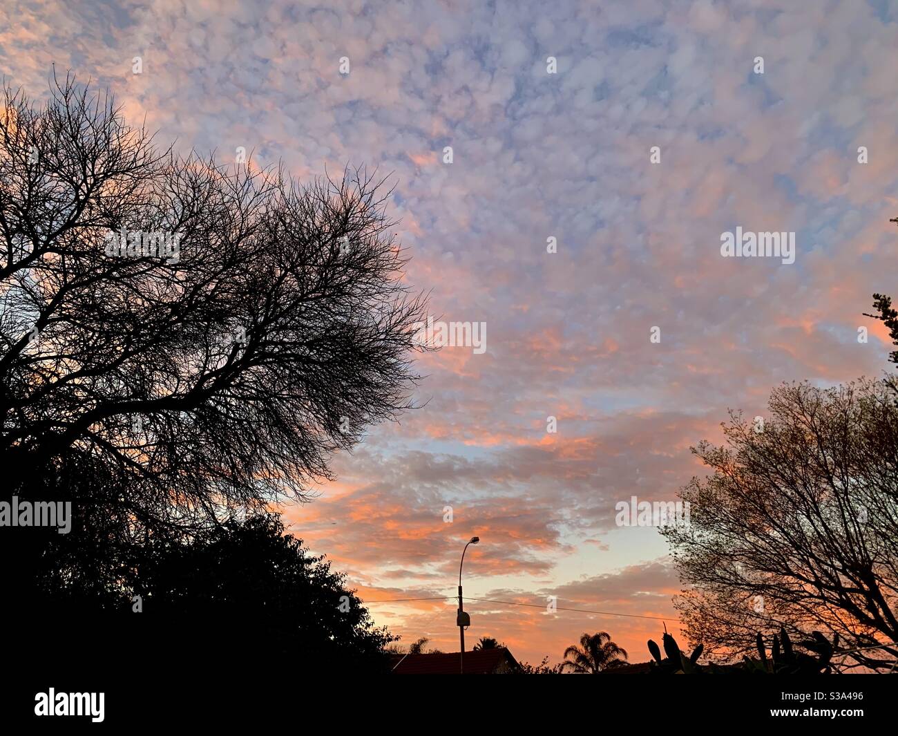 Aesthetic Pink Clouds Stock Photo Alamy