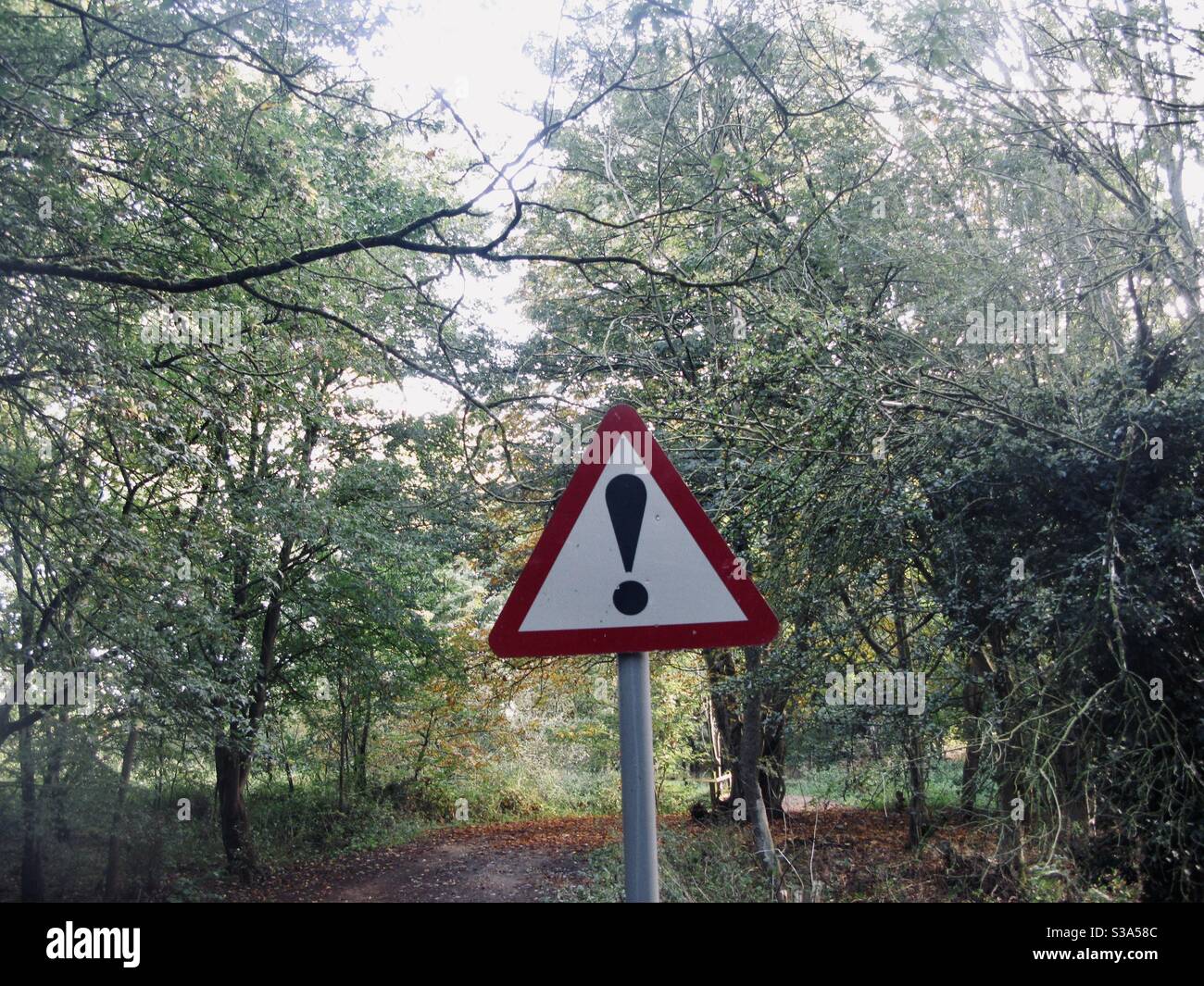 Caution road sign on woodland road/pathway. - Smartphone Captured Stock Image