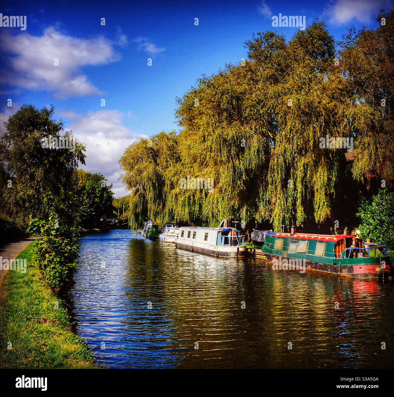 Late Summer Canal Boats - Smartphone Captured Stock Image