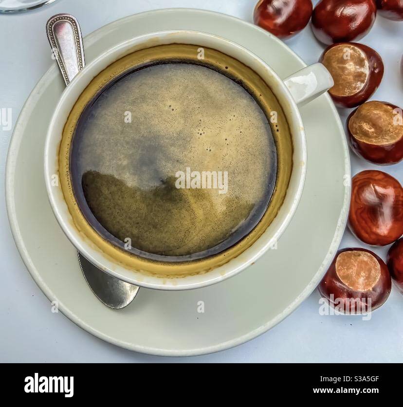 Autumn - Smartphone Captured Stock Image