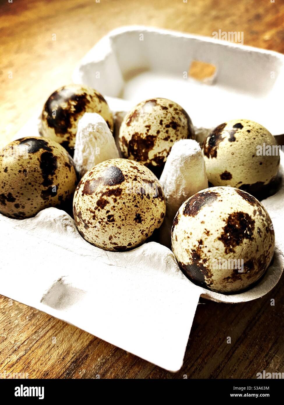 Quail eggs in a tiny quail egg box Stock Photo