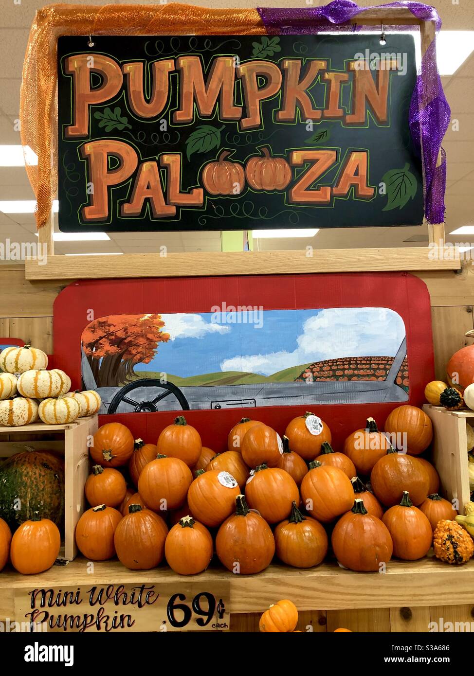 Display of pumpkins in an organic supermarket, “Pumpkin Palooza.” - Smartphone Captured Stock Image