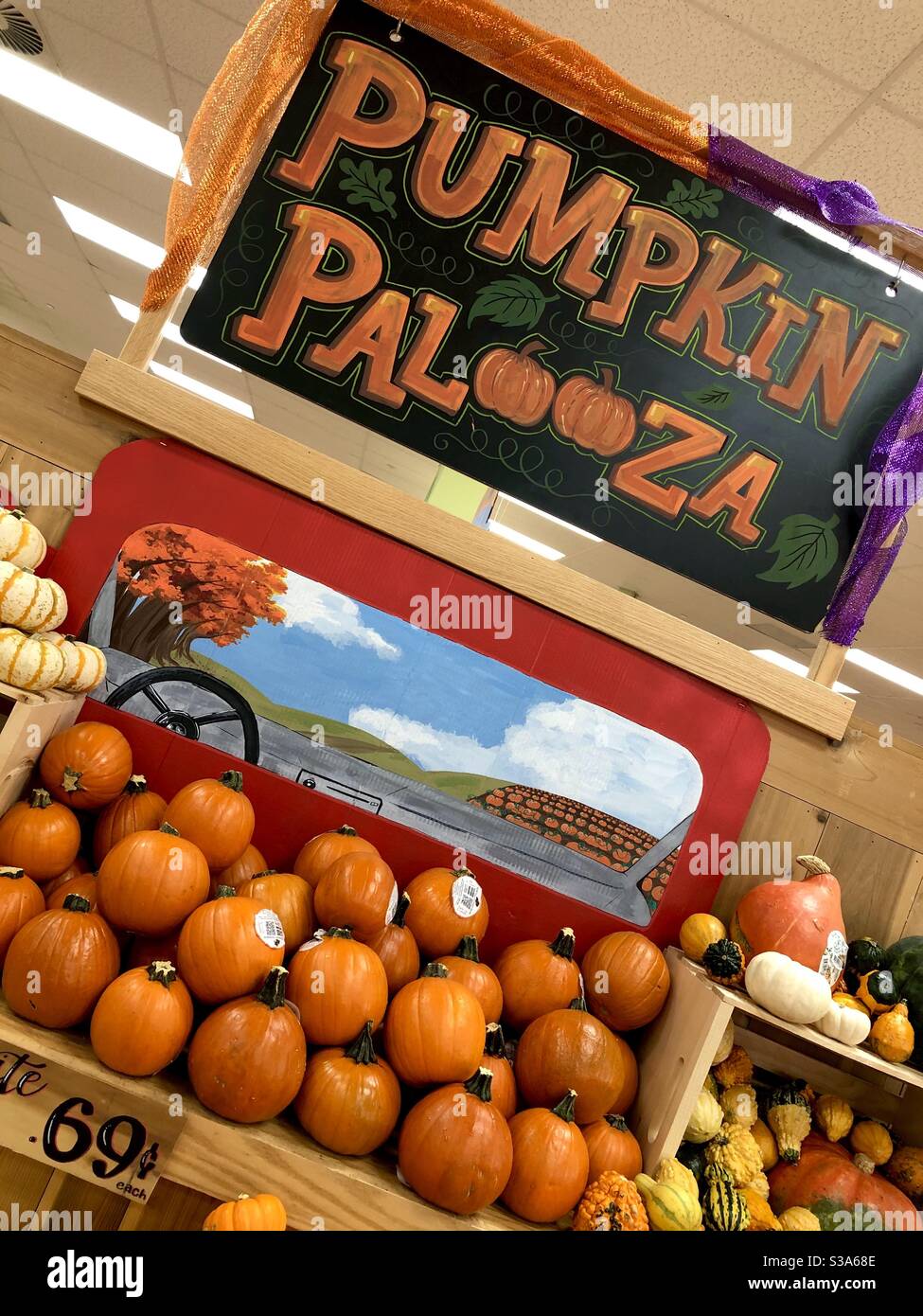 “Pumpkin Palooza” display of pumpkins in an organic supermarket during the Halloween season. - Smartphone Captured Stock Image