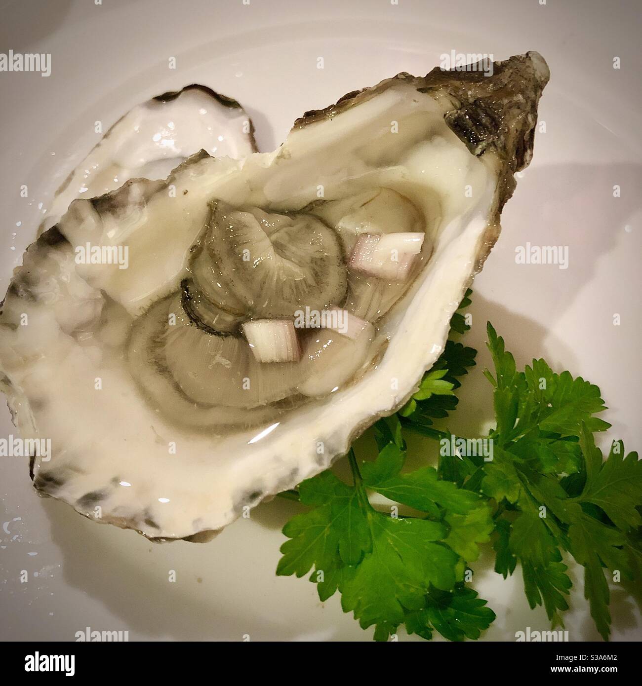 Opened Atlantic oyster with shallot and vinegar dressing and parsley garnish- France. - Smartphone Captured Stock Image