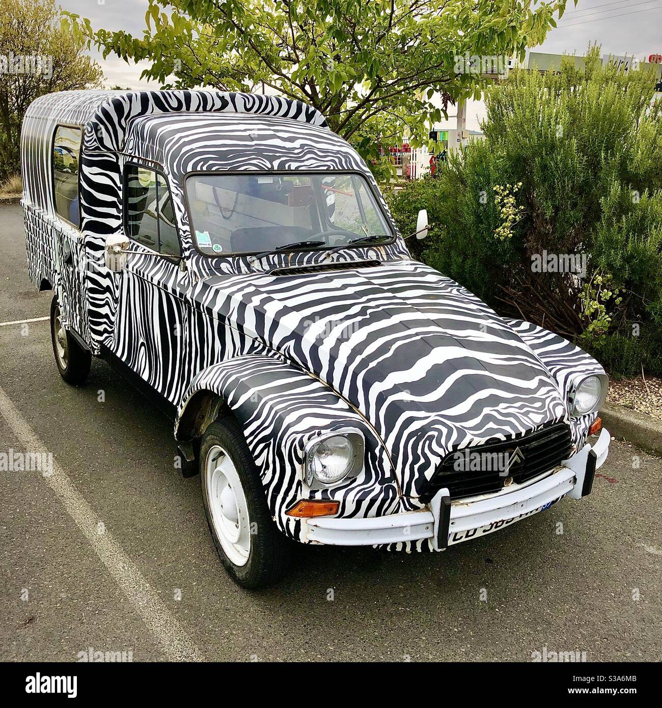 Renault 4L Camionette (small van) with black and white Zebra stripe pattern custom paintwork - France. Stock Photo