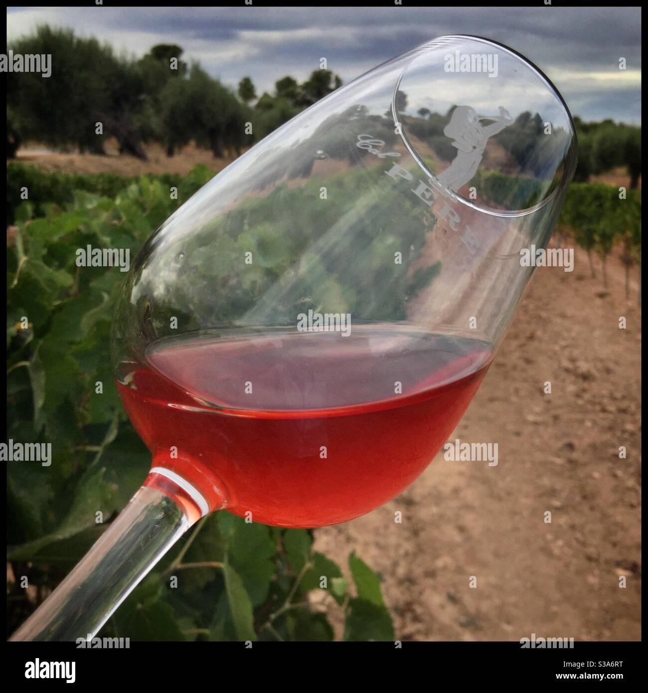 Grenache rosé juice pre-fermentation after six hours of skin maceration, Catalonia, Spain. - Smartphone Captured Stock Image