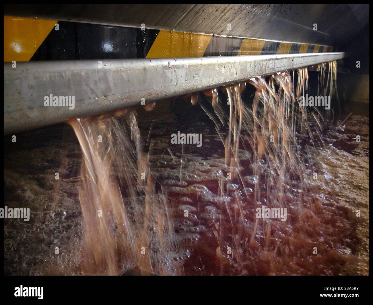 Maceration hires stock photography and images Alamy