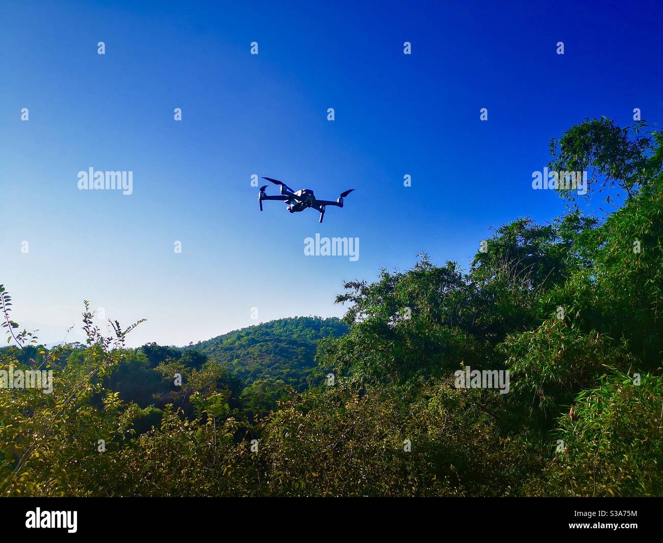 Forest drone photography hi-res stock photography and images - Alamy