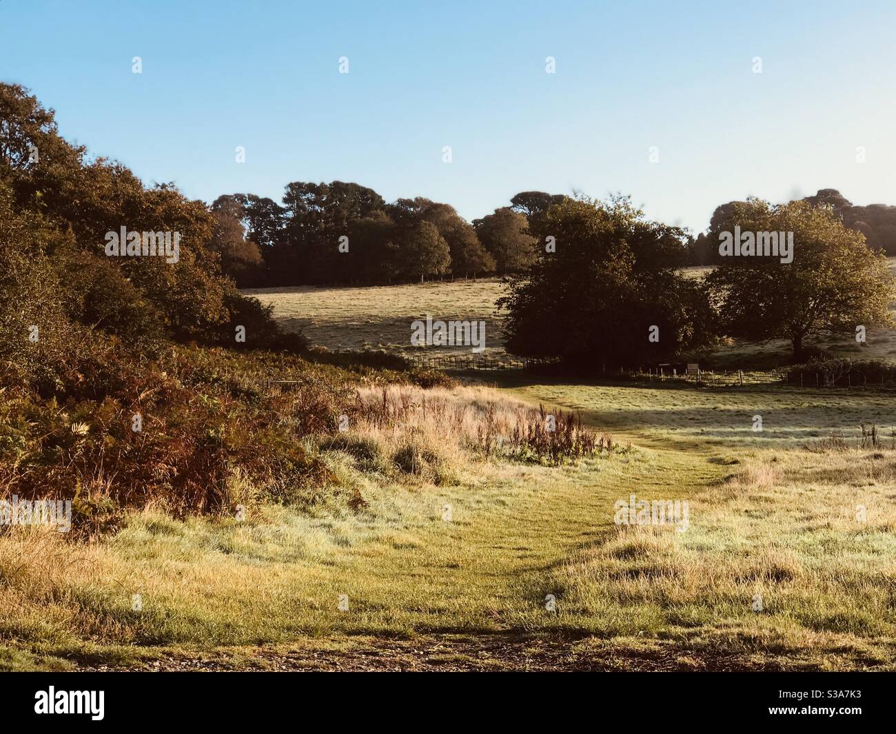 up to the parkland - Smartphone Captured Stock Image