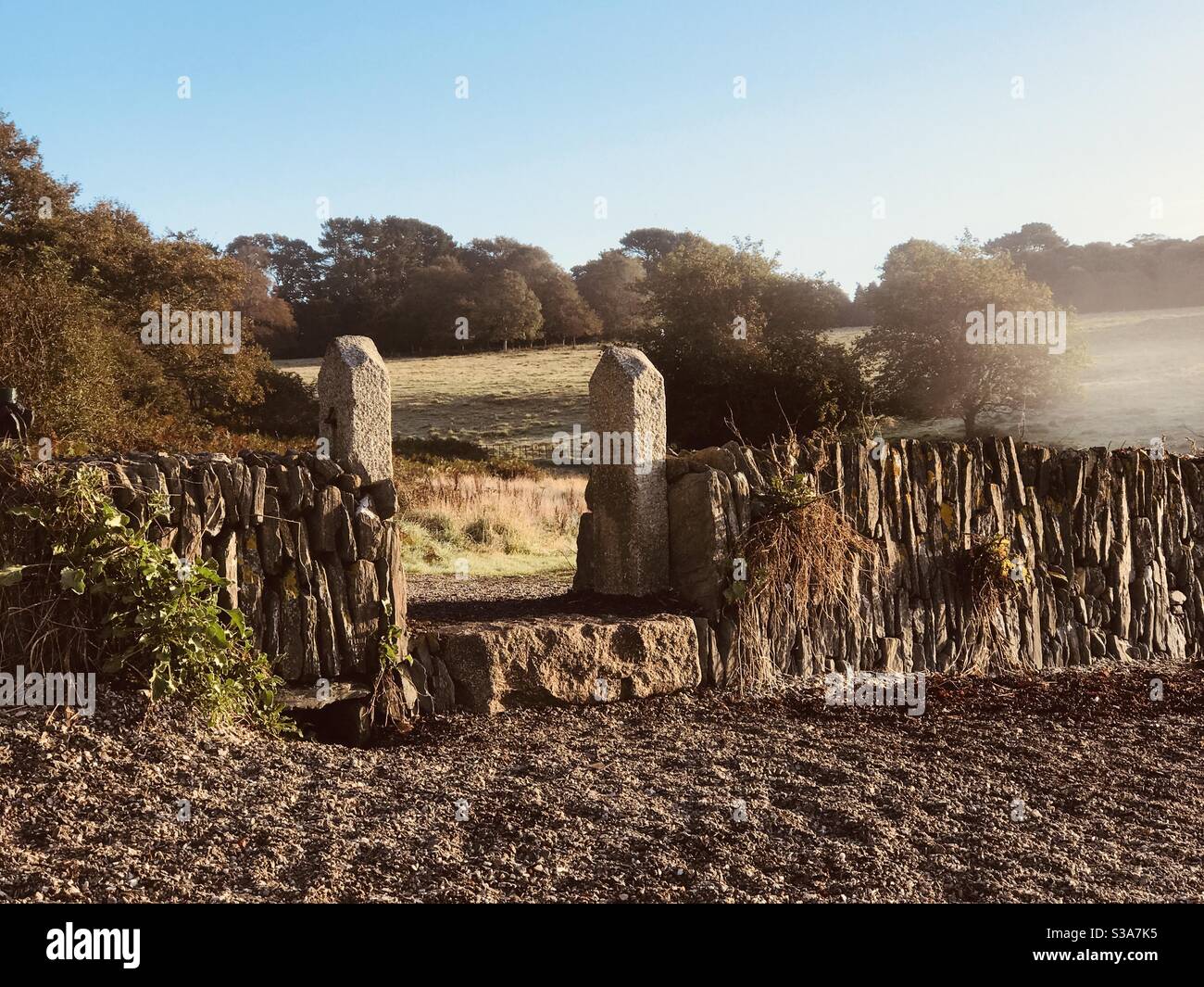 the gate to the parkland - Smartphone Captured Stock Image