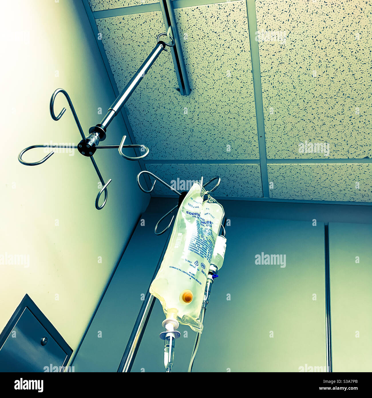 My Image 21