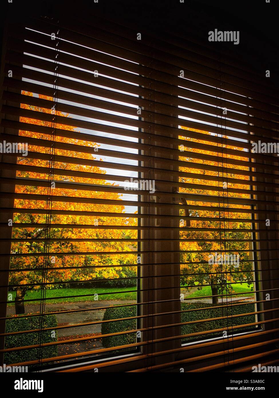 Window view in autumn - Smartphone Captured Stock Image