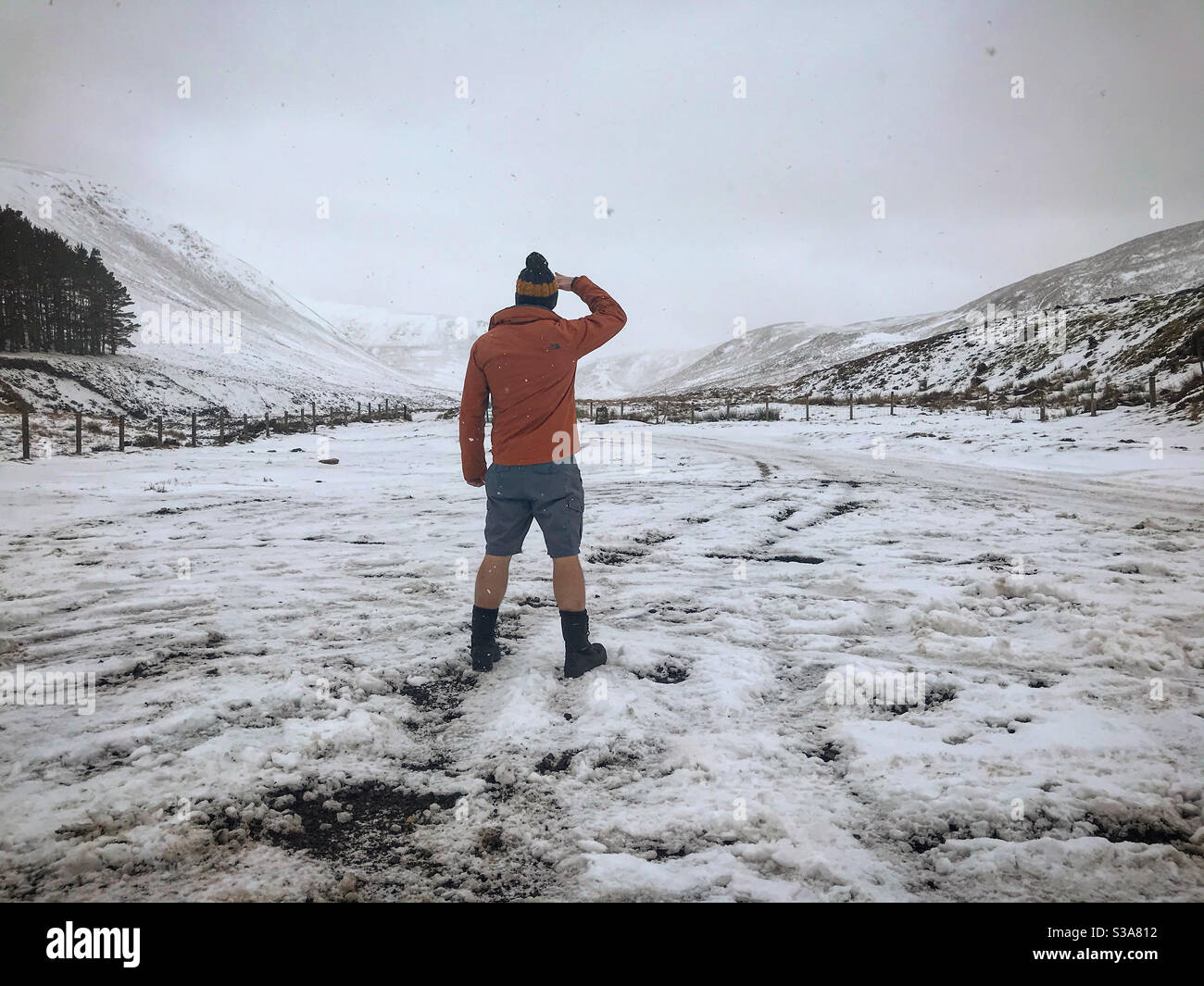 Pondering an adventure... Stock Photo