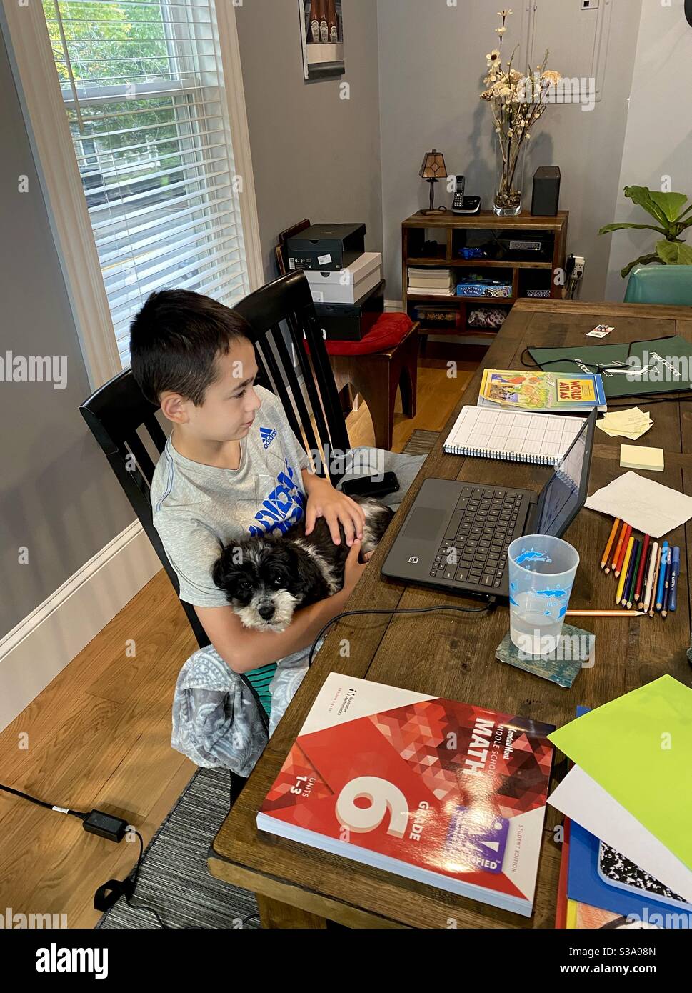 Middle school student home schooling by zoom while holding his dog during the coronavirus pandemic. - Smartphone Captured Stock Image