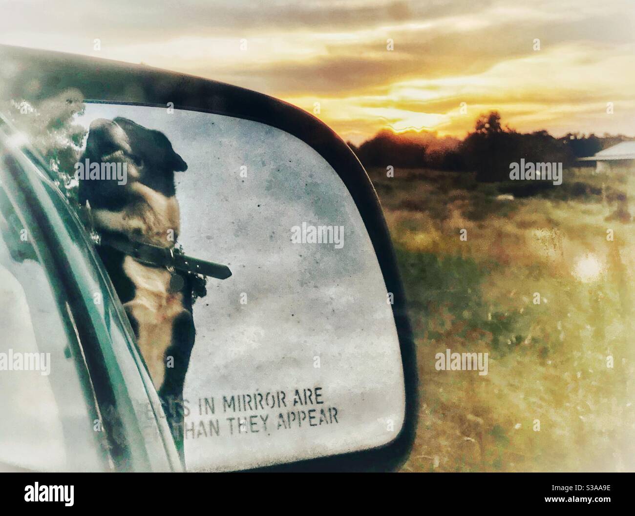 Over exposed photo of delighted dog’s reflection in mirror while riding in pickup- sunset in background - Smartphone Captured Stock Image