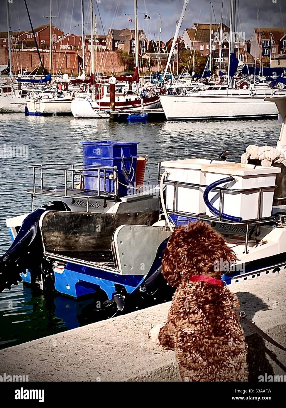Wow. A wonderful view of boats over the wall. - Smartphone Captured Stock Image