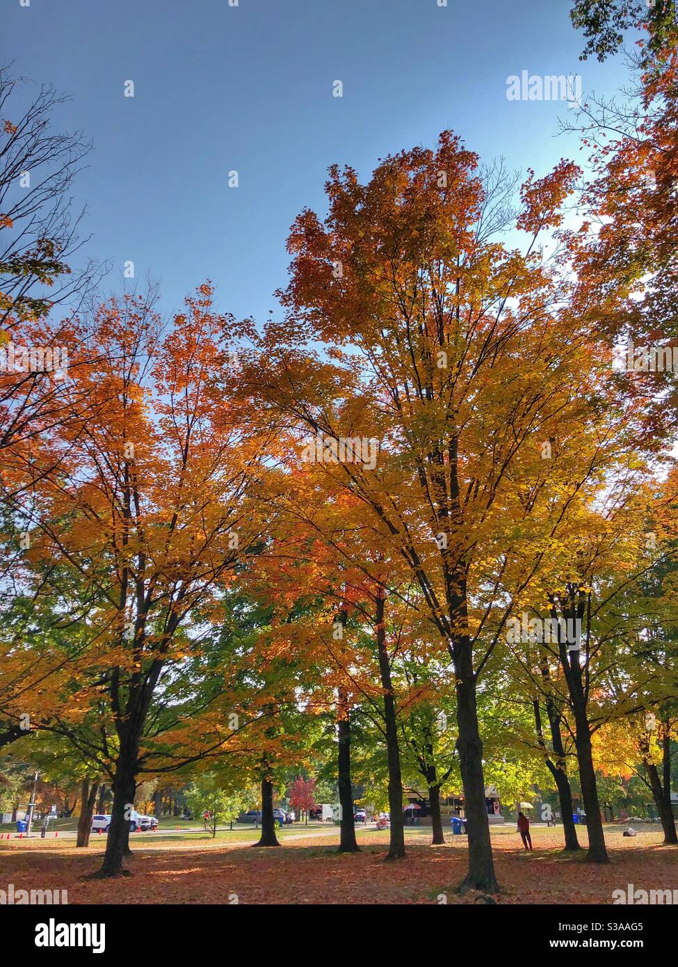 A colourful autumn day in High Park, Toronto, Canada. Stock Photo