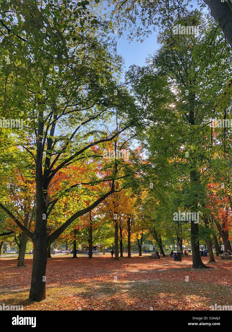 Autumn is in the air. Stock Photo