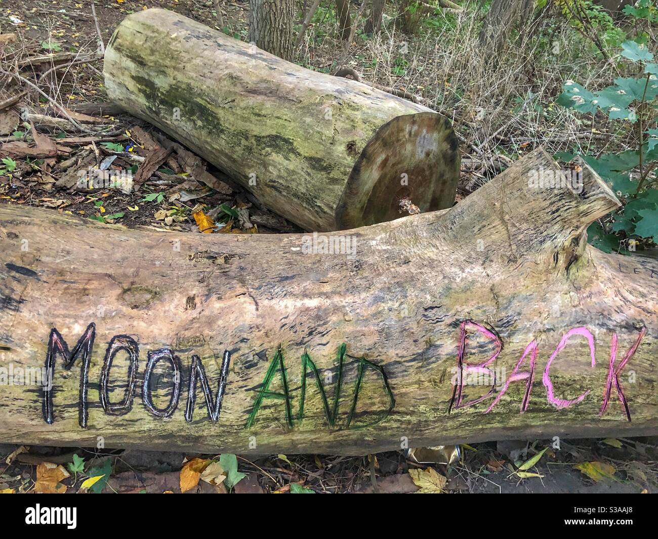 Words etched on a fallen tree trunk. Stock Photo