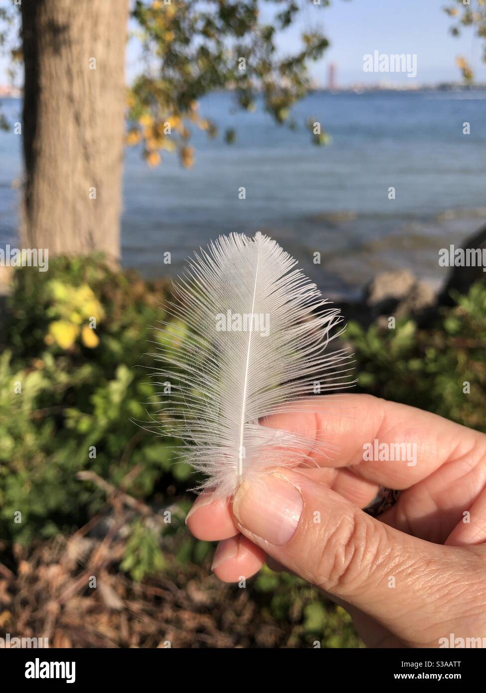 A woman holding a small white feather. - Smartphone Captured Stock Image