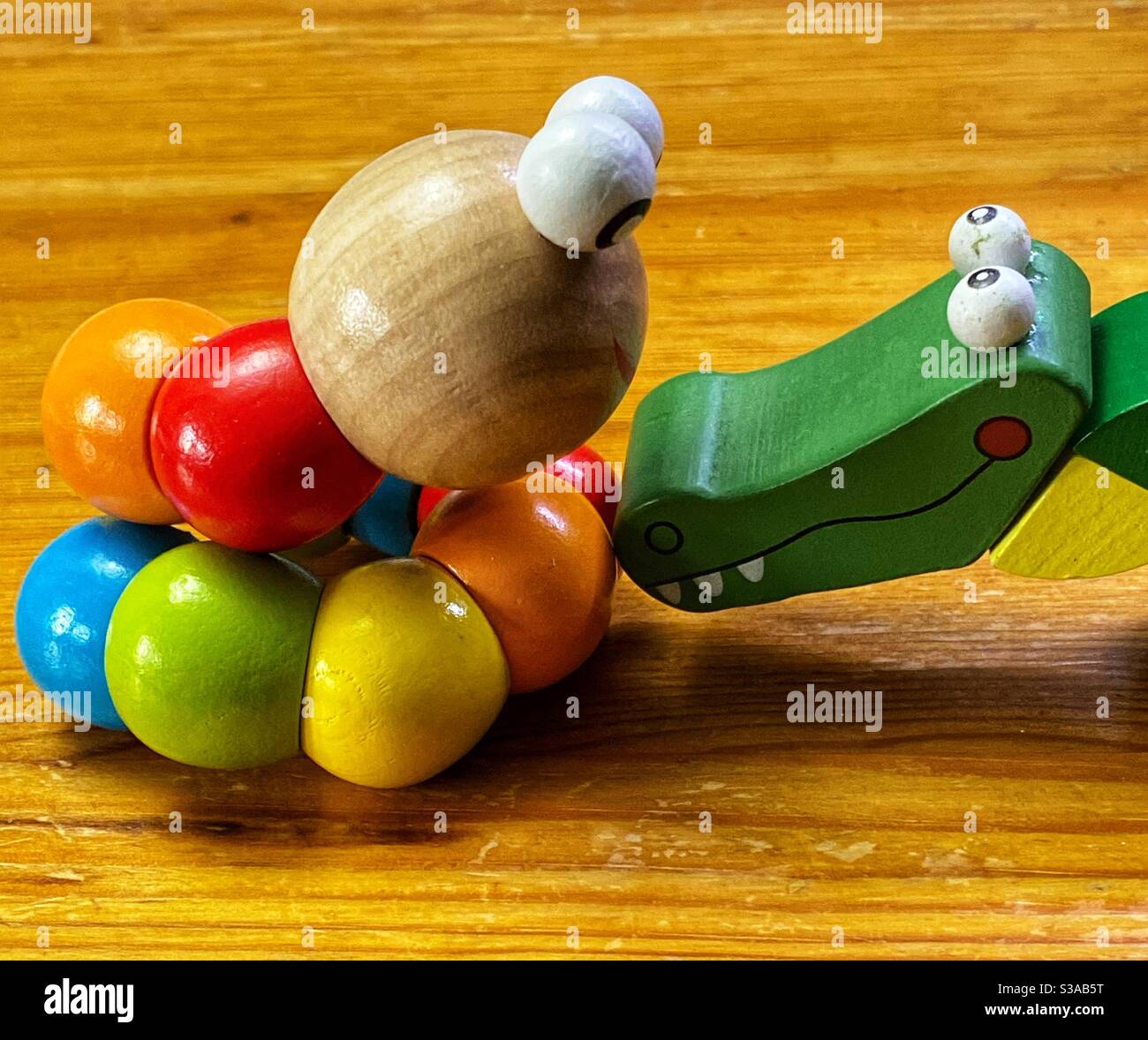 Green wooden toy crocodile comes face to face with a multi coloured wooden toy caterpillar on a pine table Stock Photo