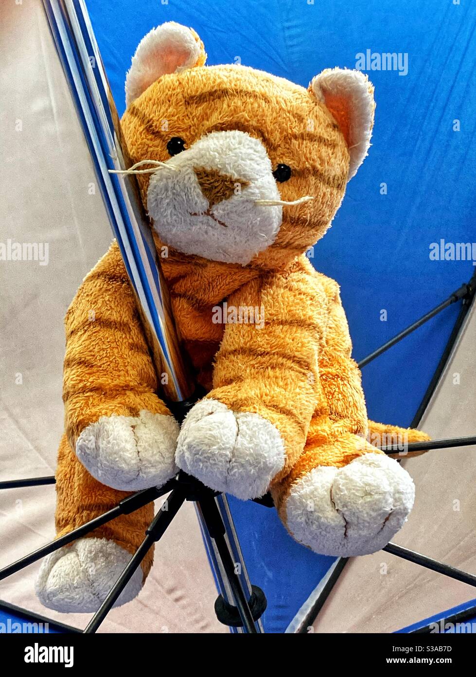 Pole dancing accident: a soft toy tiger grasping the handle of an upturned umbrella Stock Photo
