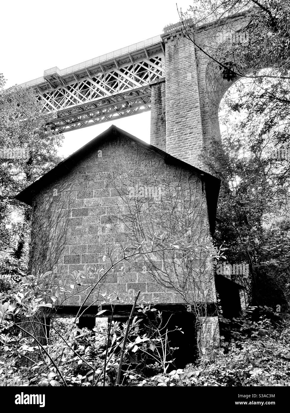 Railway viaduct Parthenay France - Smartphone Captured Stock Image