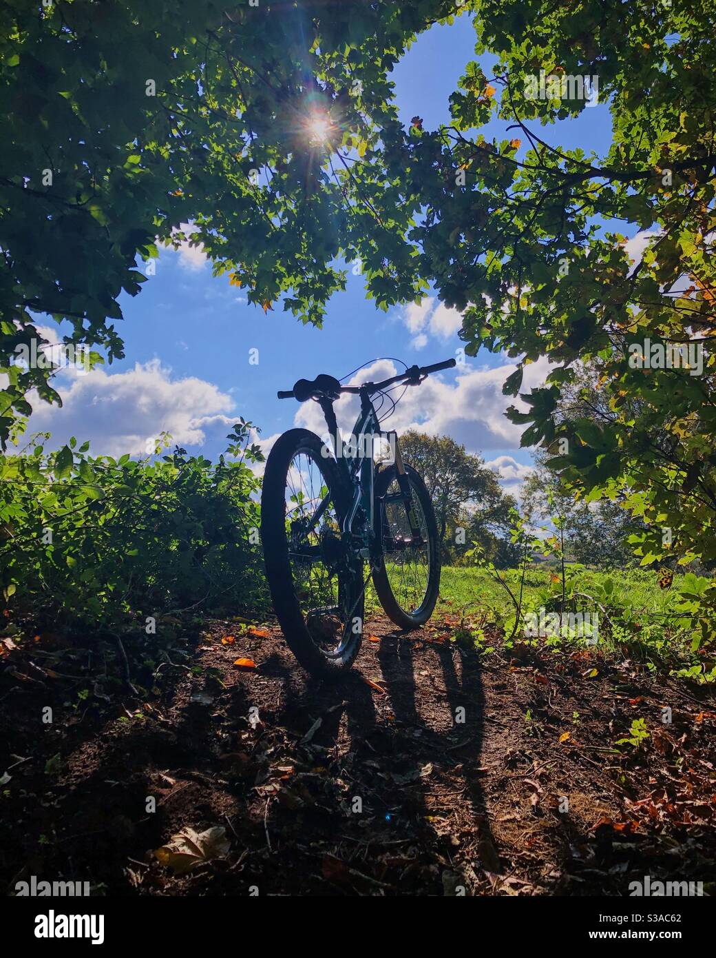 Mountain bike on edge of woodland in sunshine. Stock Photo