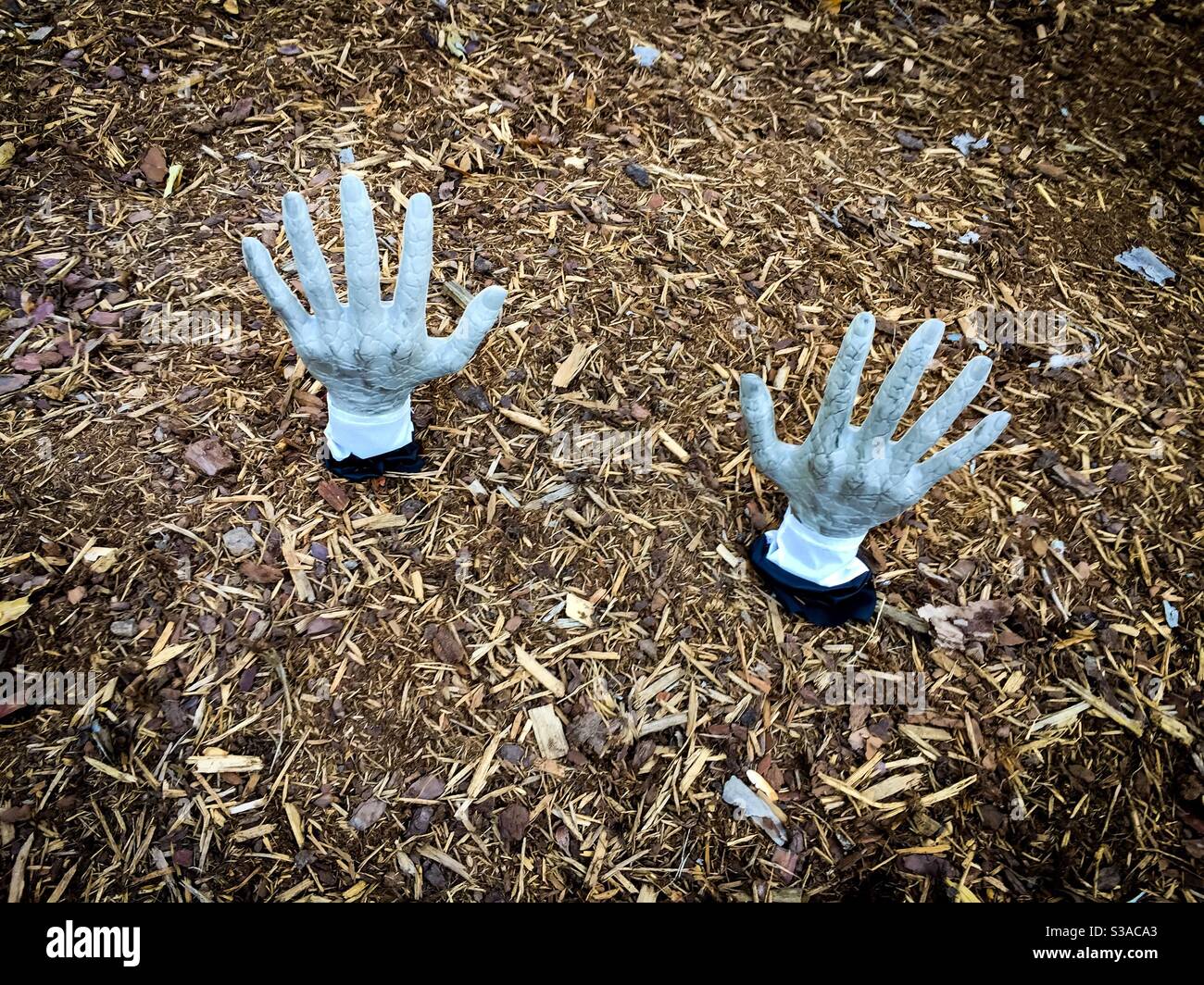 Two Hands - Smartphone Captured Stock Image