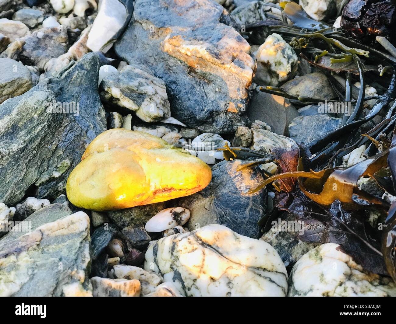 Stone in the beach hi-res stock photography and images - Alamy