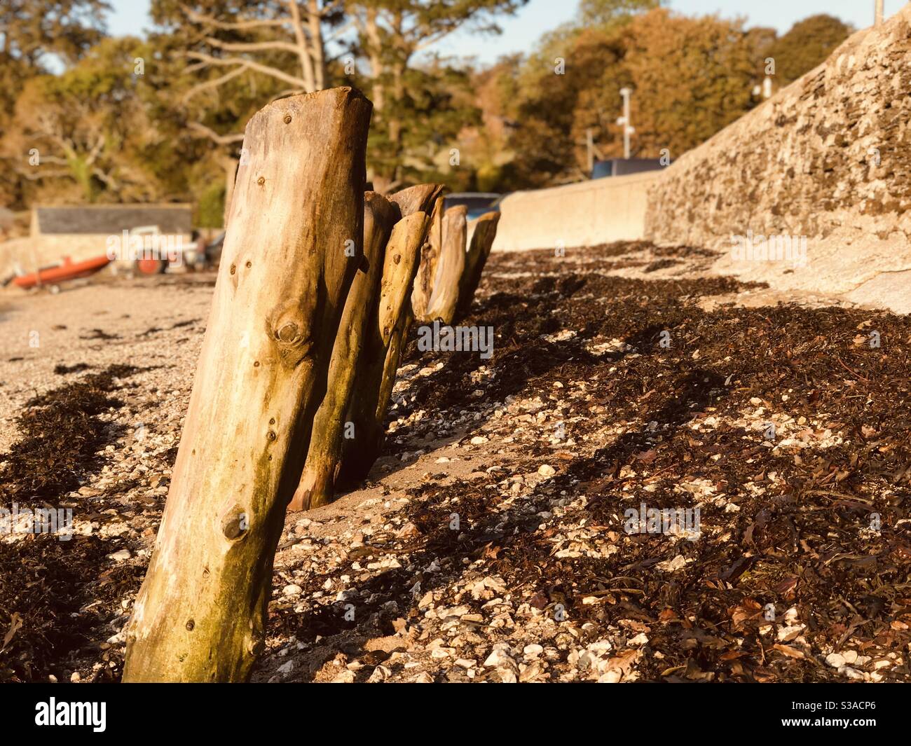 wooden things on Loe Beach - Smartphone Captured Stock Image