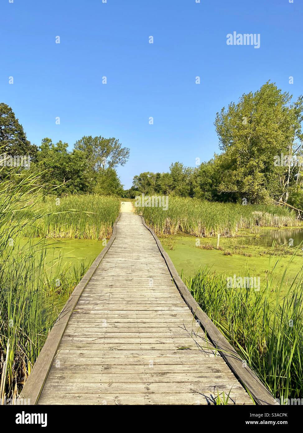 Wooden trail in Rollins Savanna, Grayslake, Illinois - Smartphone Captured Stock Image