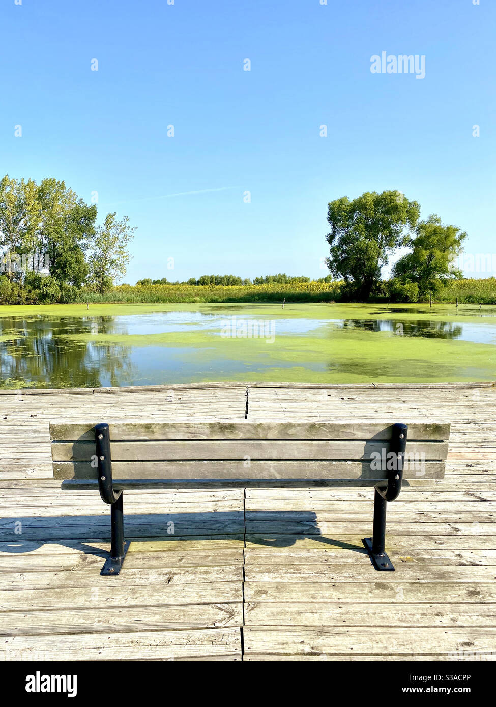 Bench in Rollins Savanna Forest Preserve in Grayslake, Illinois Stock Photo
