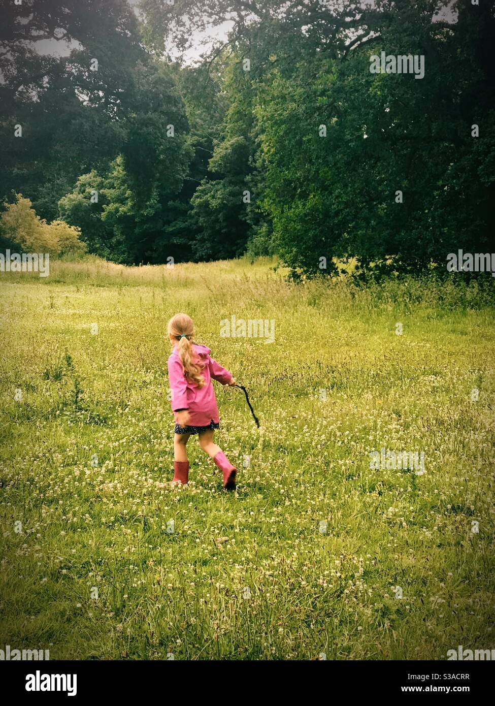 Little girl exploring with a stick Stock Photo - Alamy