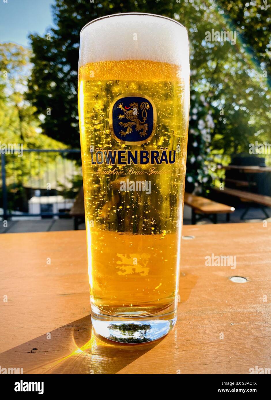 A pint of beer at a local beer garden. Berlin, Germany. - Smartphone Captured Stock Image