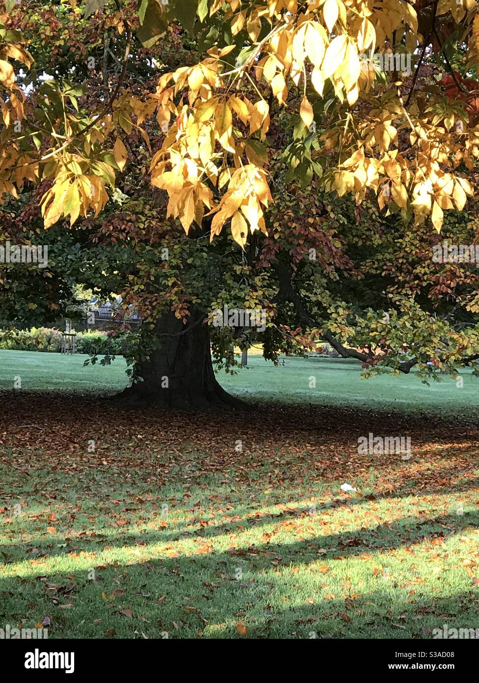 Colours of Autumn Stock Photo Alamy