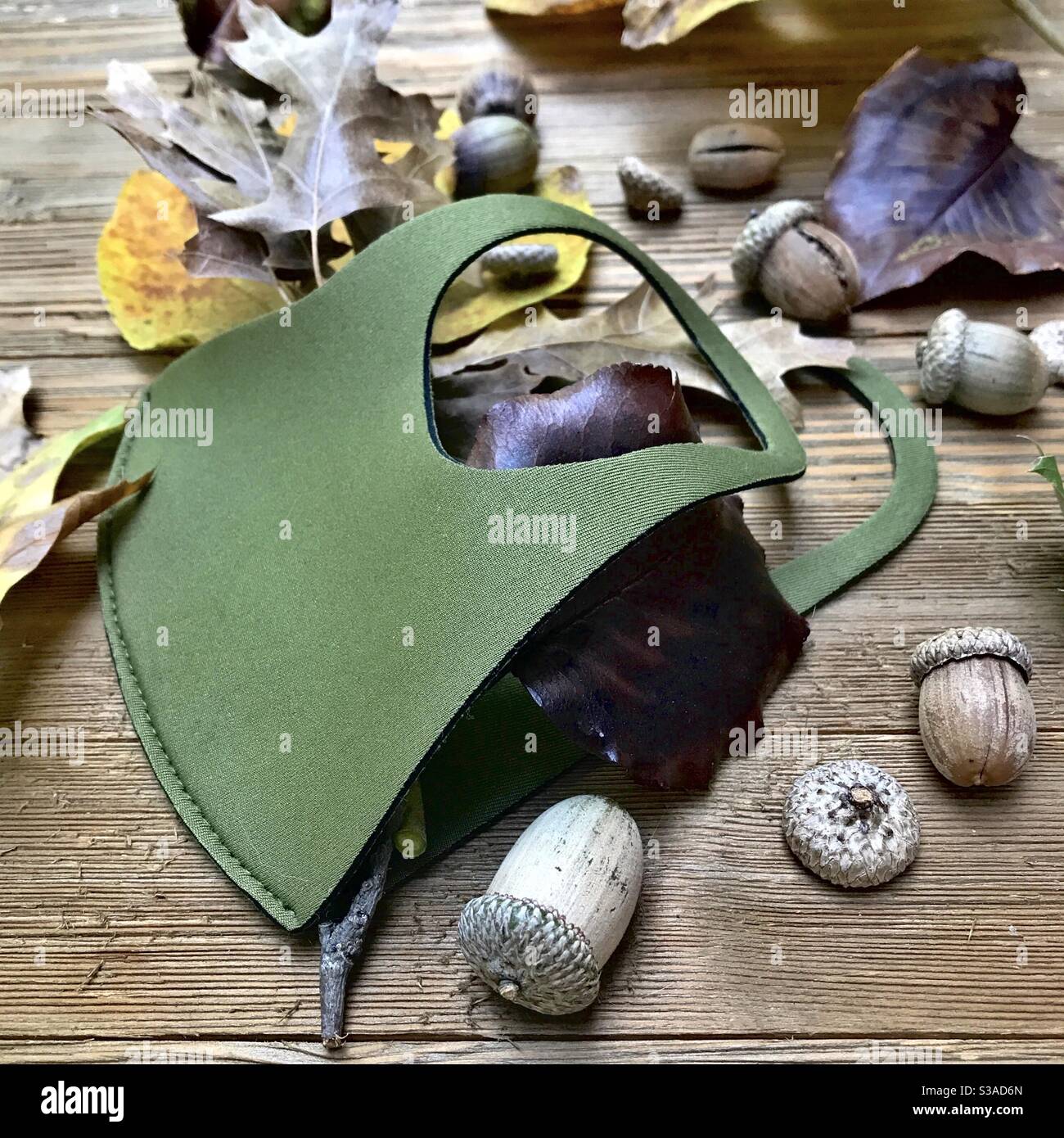 Green face mask with a collection of acorns and leaves. Stock Photo