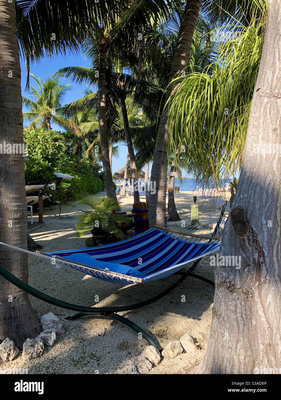 Private resort with palm trees, hammock, ocean, sand and beach in Key