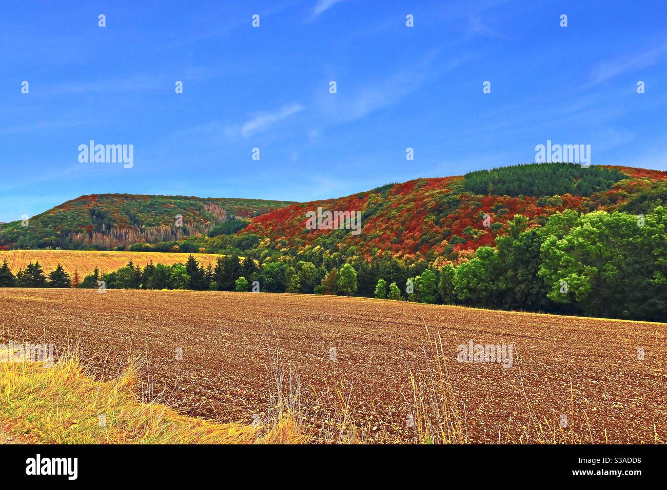 Goldener Herbst, mitten in Deutschland. Ort: Diemelsee-Benkhausen, Hessen Stock Photo