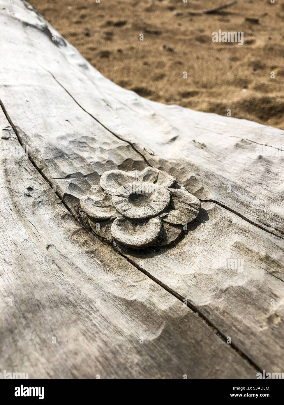 Flower carved by hand out of a piece of wood that washed up on the beach. Stock Photo
