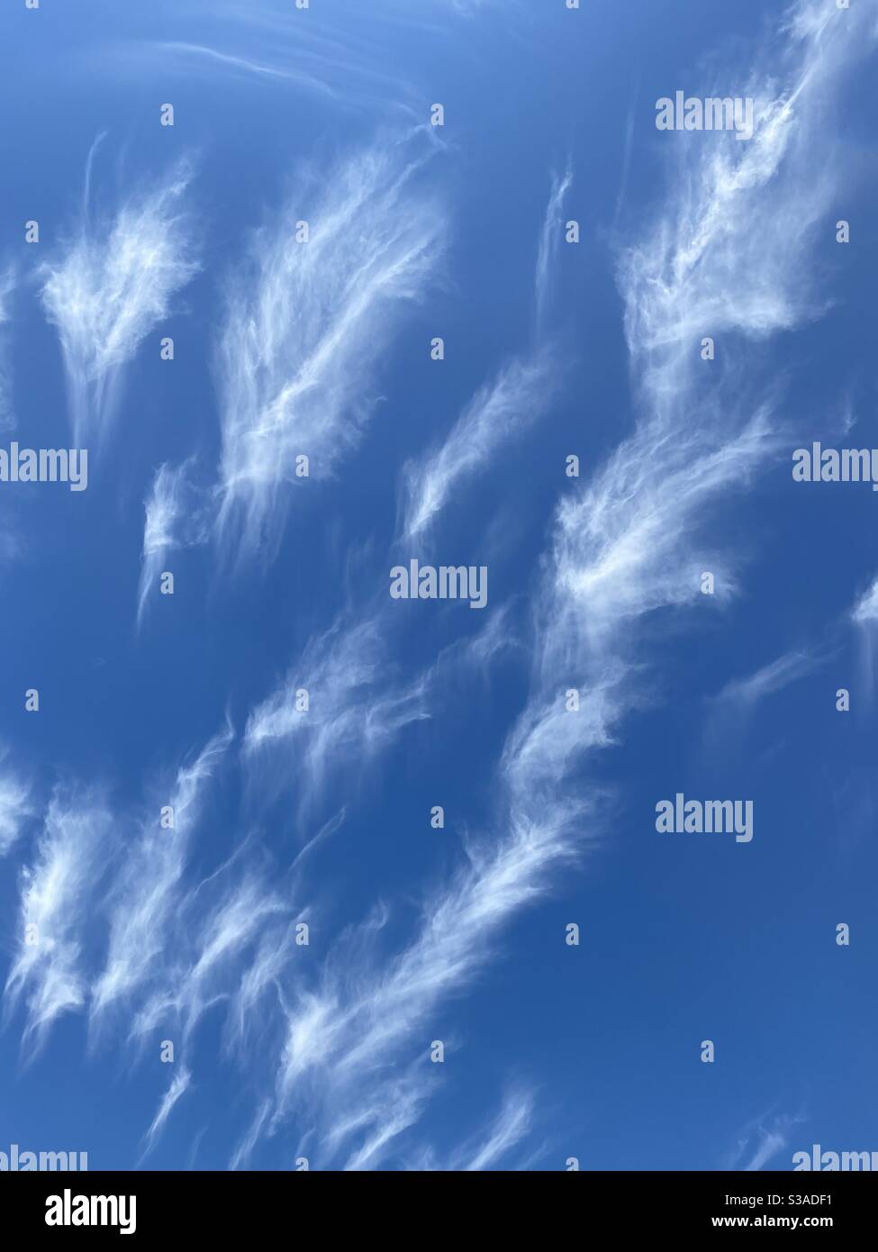 Feather clouds hires stock photography and images Alamy