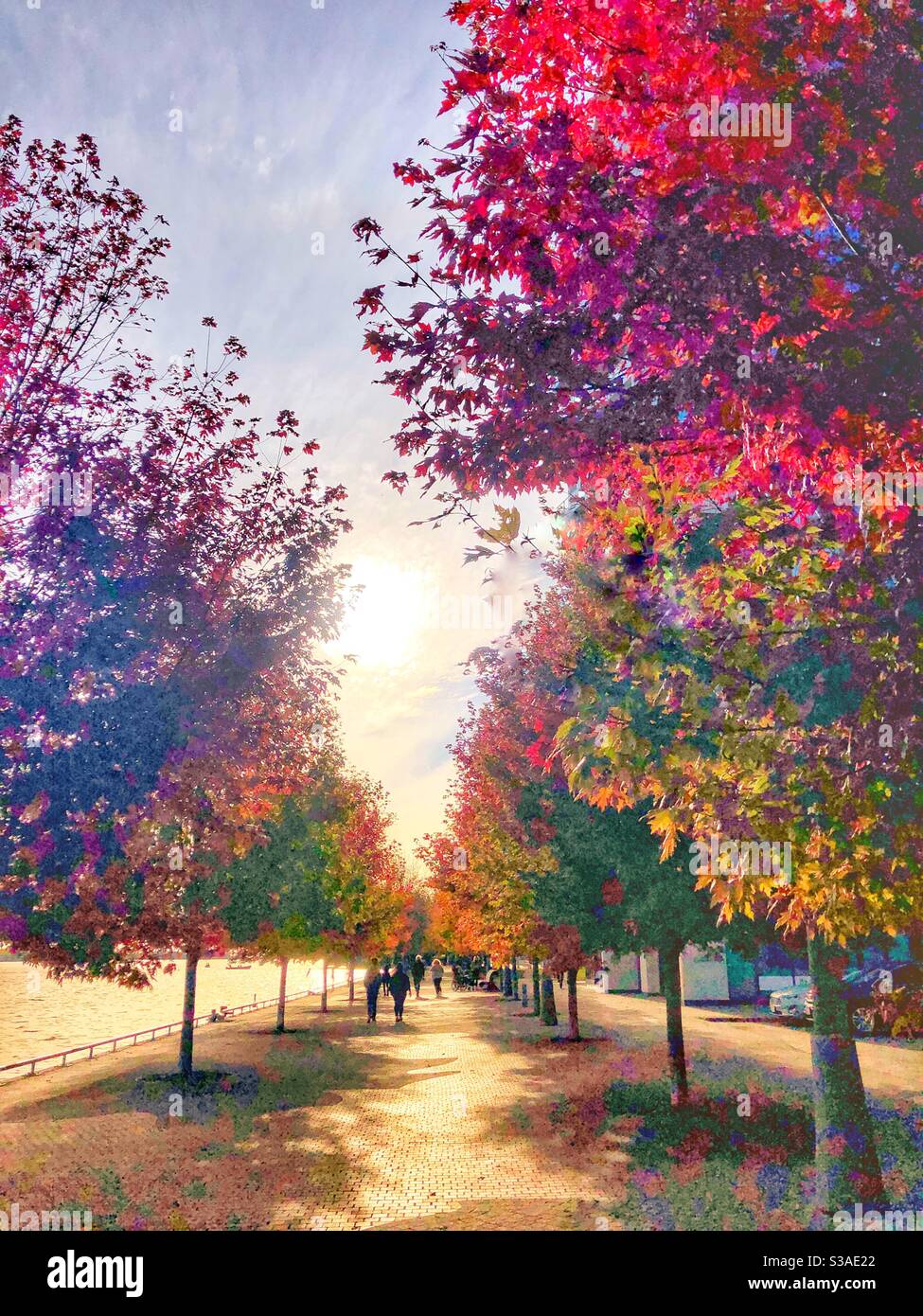 A beautiful autumn day full of vibrant colours. - Smartphone Captured Stock Image