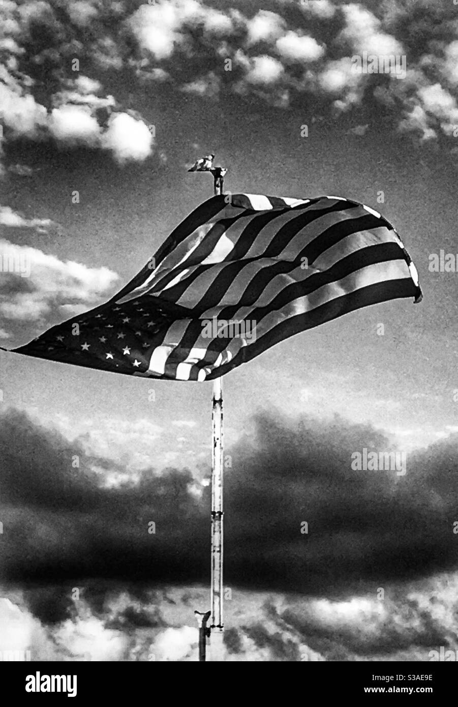 Usa flag old glory Black and White Stock Photos & Images - Alamy