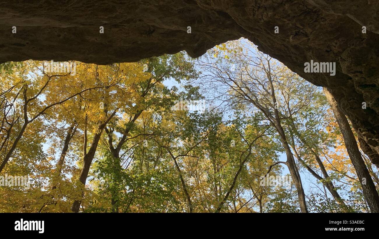 Autumn trees from inside a cave Stock Photo